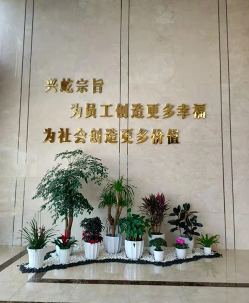 公司照片_副本.jpg 公司照片_副本.jpg